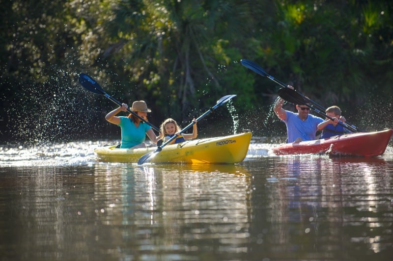 kayaking near Longboat Key