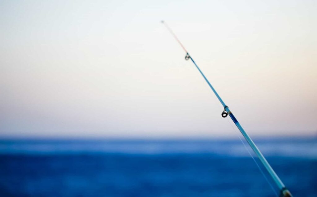 a fishing rod with the ocean in the background