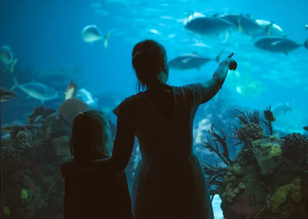 a mother and daughter at an aquarium