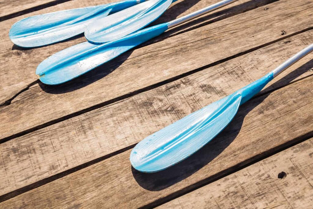 paddles for kayaking in Sarasota