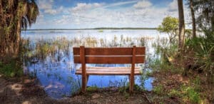 A park bench to take in Florida nature.
